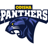 Team logo