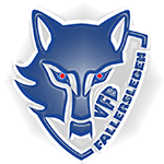 Team logo