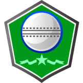 Team logo