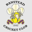 Banstead Flag