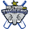Team logo