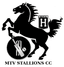MTV Stallions Flag
