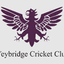 Weybridge Flag
