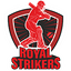 Royal Strikers Flag