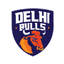 Delhi Bulls Flag